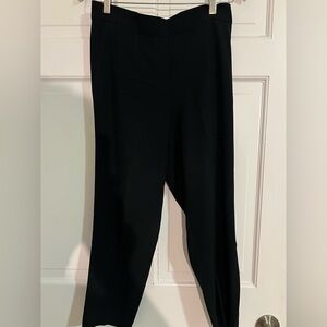 Aritzia Babaton Black Women's Pants